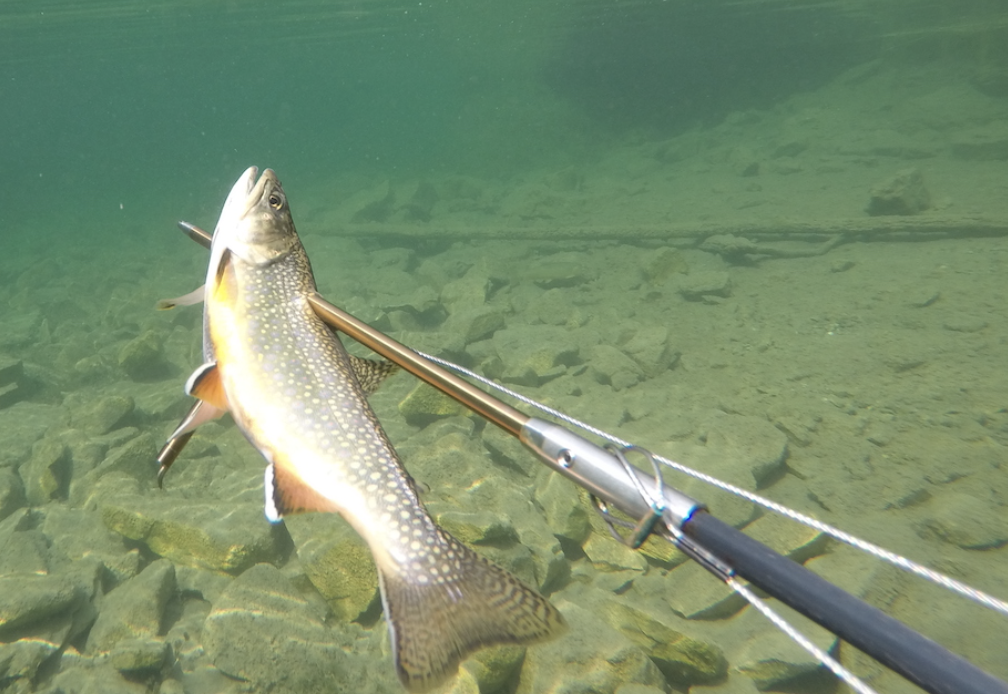 Trio faces court over alleged illegal spear fishing