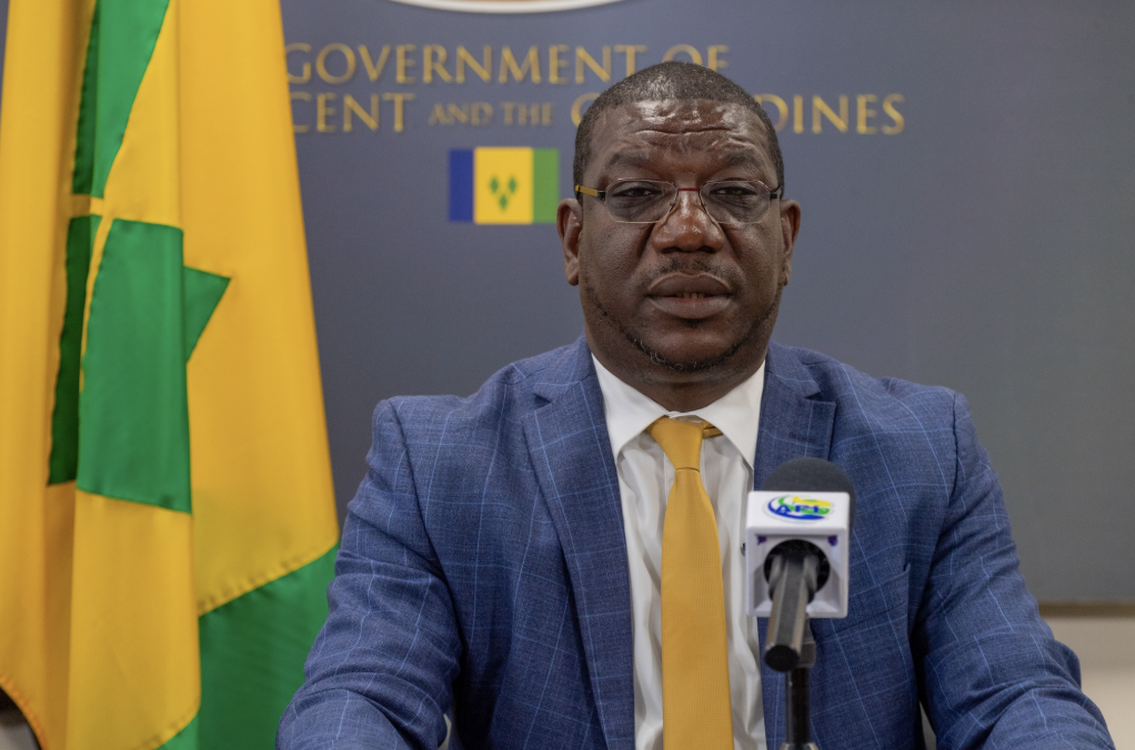 Vincentians encouraged to return home and invest