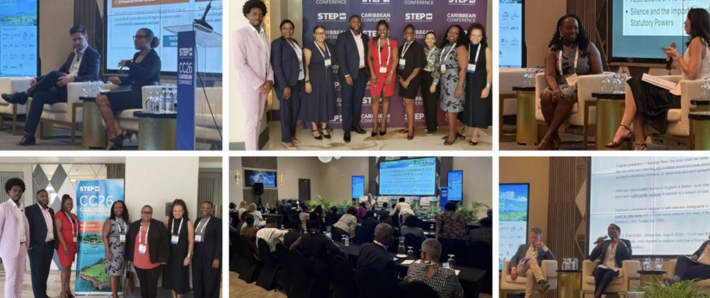 BVI professionals lead at regional financial services conference