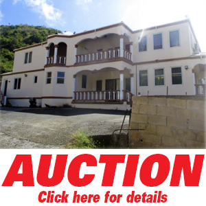auction-maynard