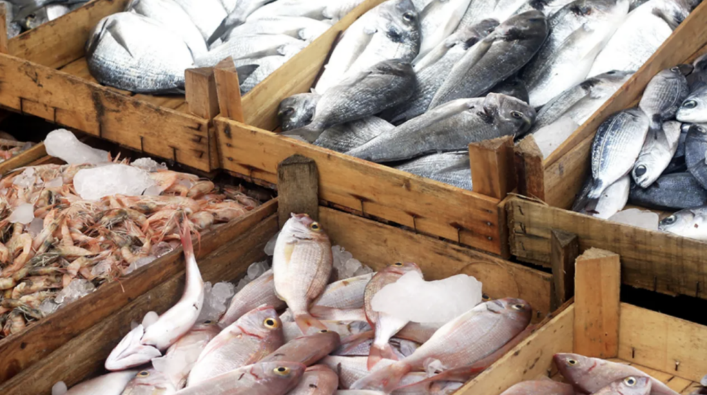 Penn renews push for East End fishing depot