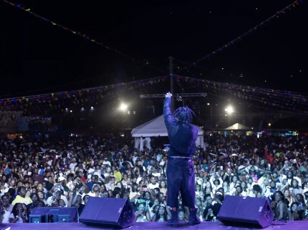 PHOTOS: Glow Night sees massive turnout